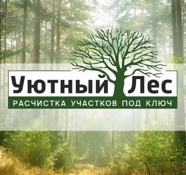Расчистка участков, спил, обрезка деревьев